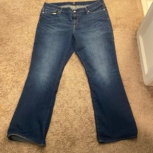 1969 Gap Denim